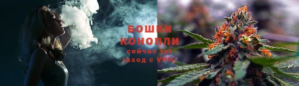 гидропоника Дмитровск