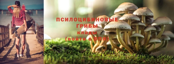 гидропоника Дмитровск