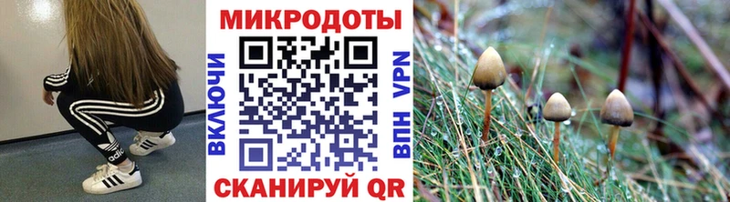 Галлюциногенные грибы мухоморы  Купить закладки  Николаевск 