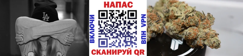 Бошки марихуана планчик Николаевск